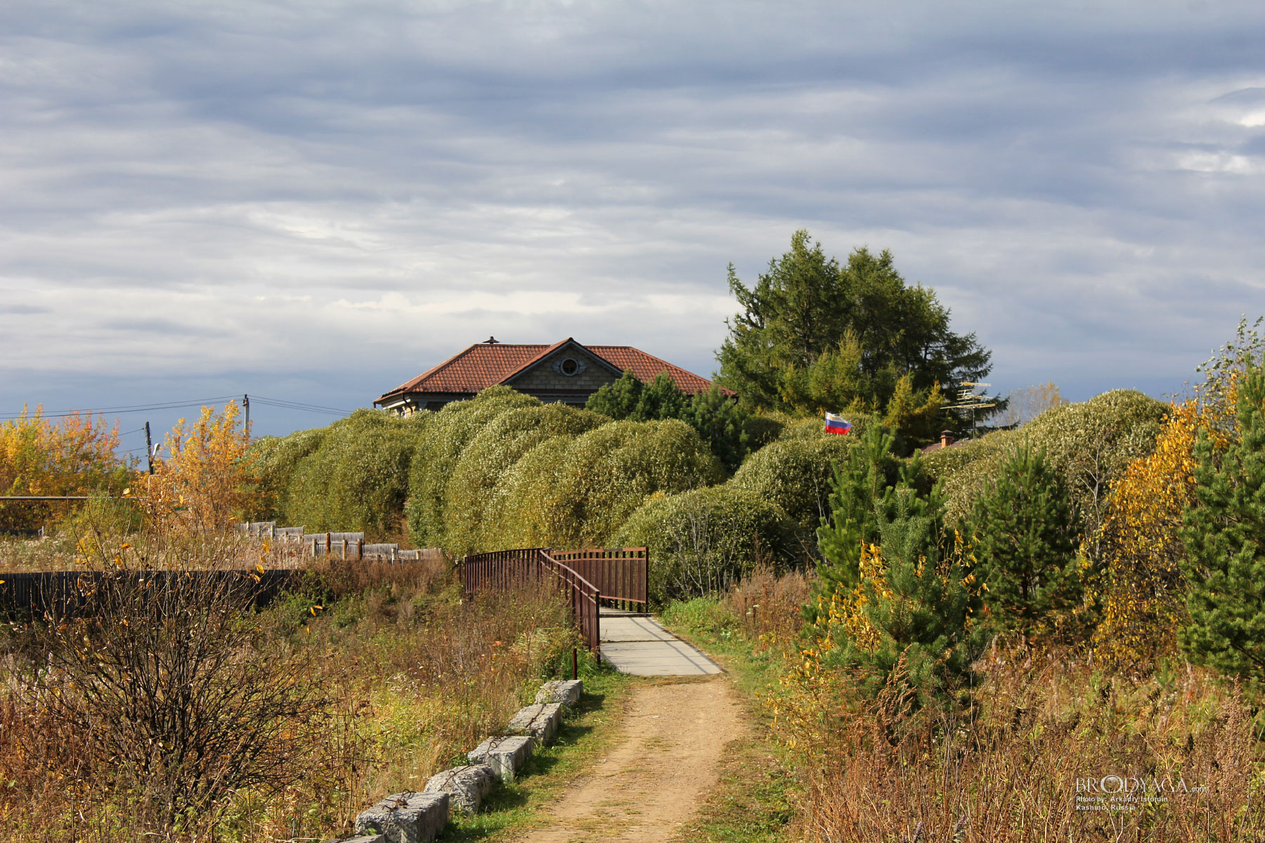 Kashino (Кашино)
